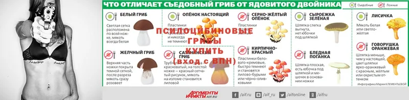 Галлюциногенные грибы мицелий Партизанск