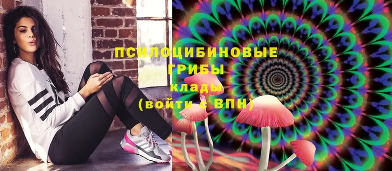 купить наркотик  Партизанск  Галлюциногенные грибы Magic Shrooms 